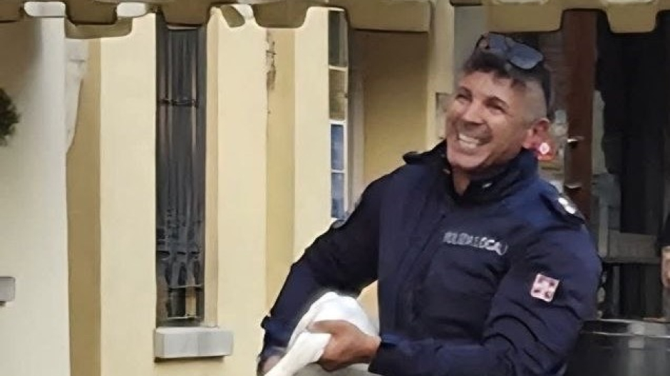 Arona, cigno salvato: aveva disturbato il nido di una coppia ed era stato ferito